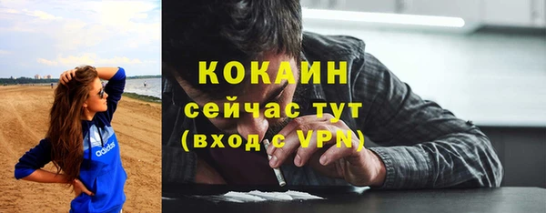 ПСИЛОЦИБИНОВЫЕ ГРИБЫ Вязники