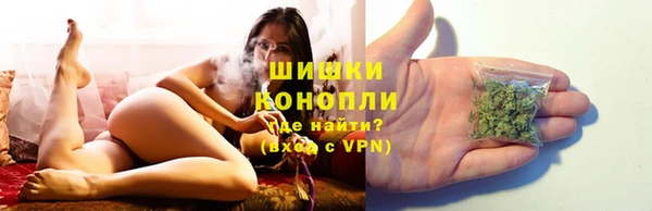 прущий лед Вяземский