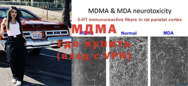 ПСИЛОЦИБИНОВЫЕ ГРИБЫ Вязники