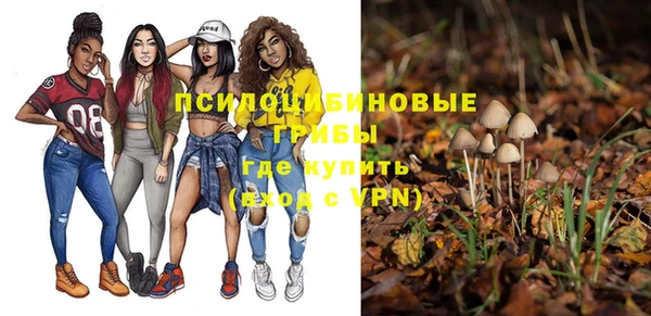 прущий лед Вяземский