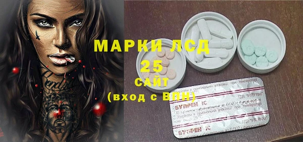 прущий лед Вяземский