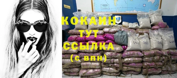 прущий лед Вяземский