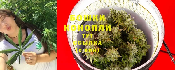 прущий лед Вяземский