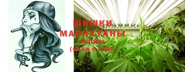 ПСИЛОЦИБИНОВЫЕ ГРИБЫ Вязники