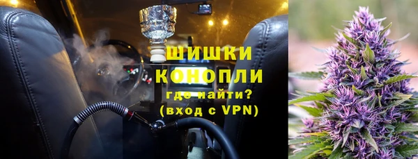 ПСИЛОЦИБИНОВЫЕ ГРИБЫ Вязники