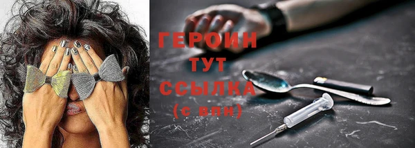прущий лед Вяземский