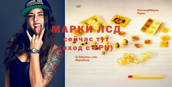 прущий лед Вяземский
