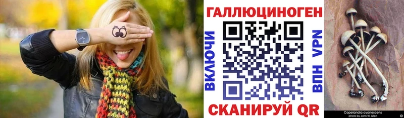 Купить  Остров  Псилоцибиновые грибы ЛСД 